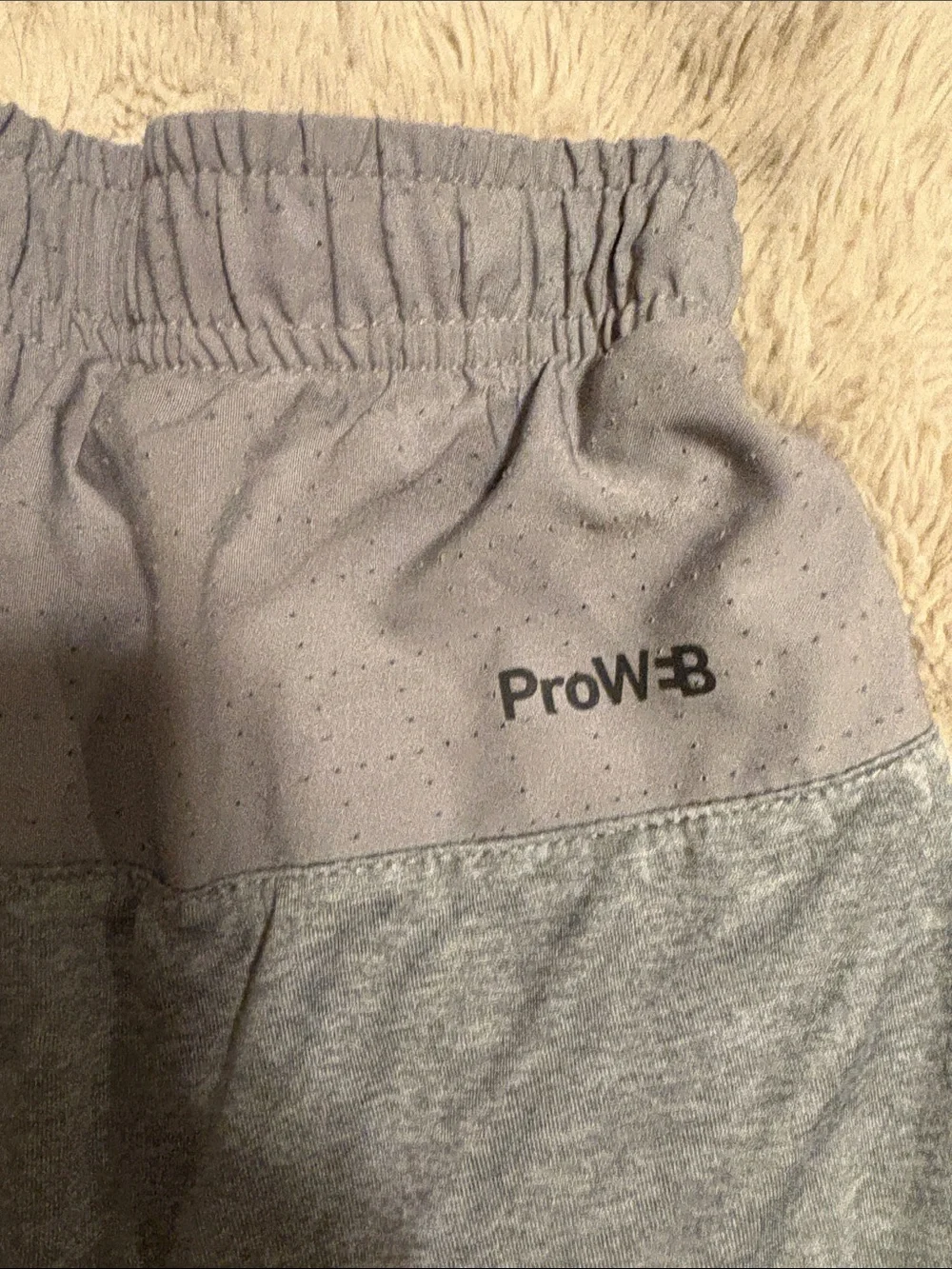 Spyder Men's Athletic Shorts in Gray with Black Drawstring